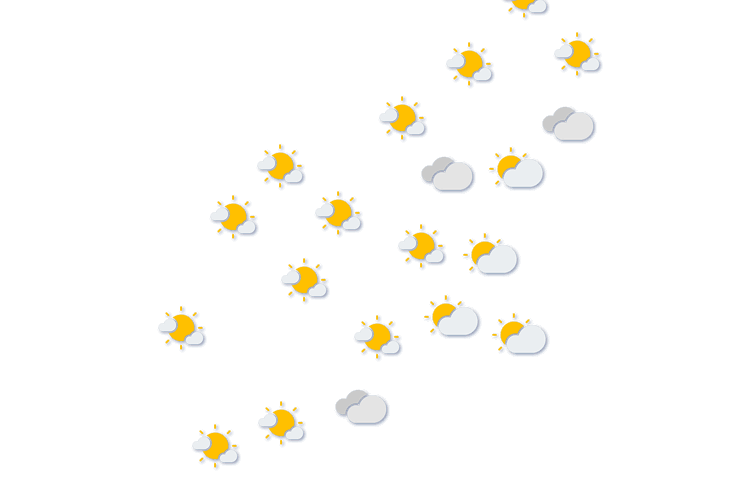 Forecast