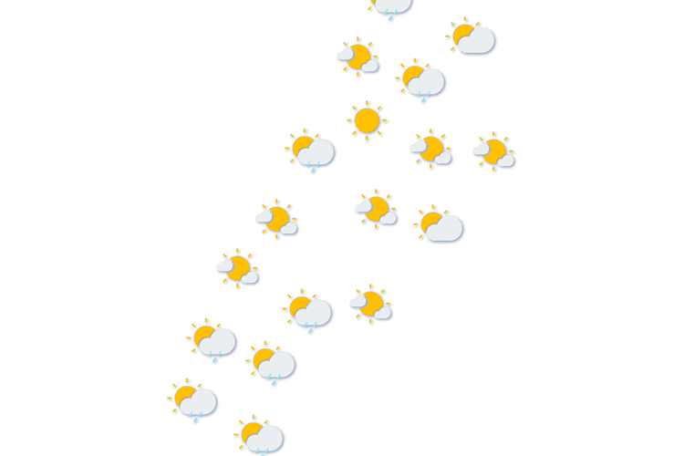 Forecast