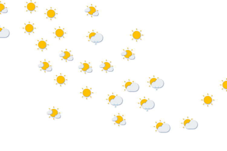 Forecast