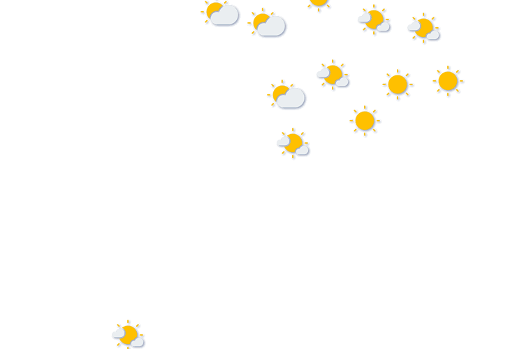 Forecast