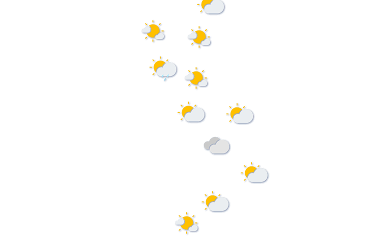 Forecast