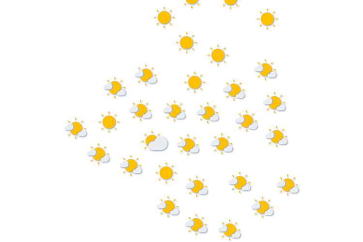 Forecast