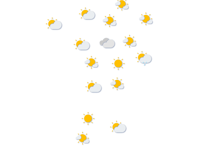 Forecast