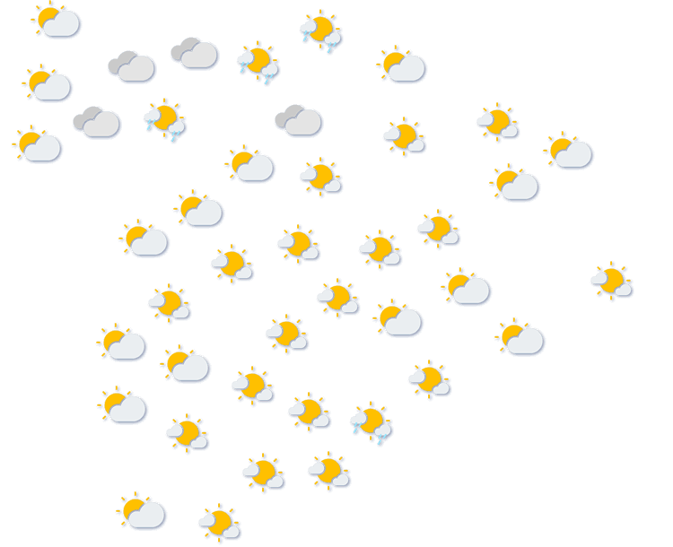 Forecast