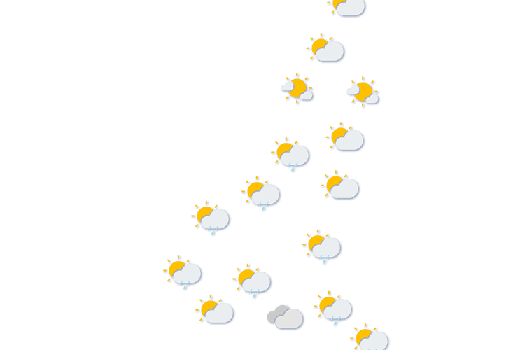 Forecast