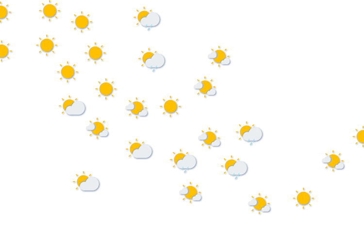 Forecast