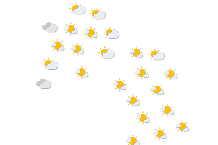 Forecast