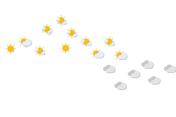 Forecast