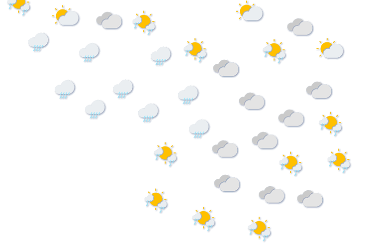 Forecast