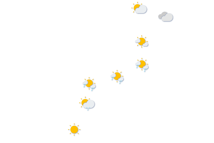Forecast