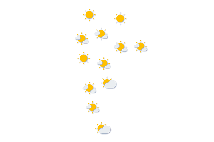 Forecast