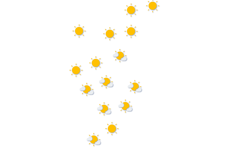 Forecast