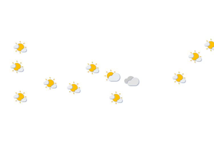 Forecast