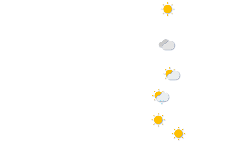 Forecast