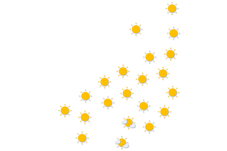 Forecast