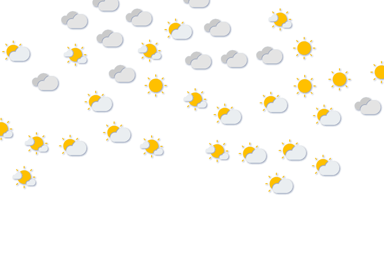 Forecast
