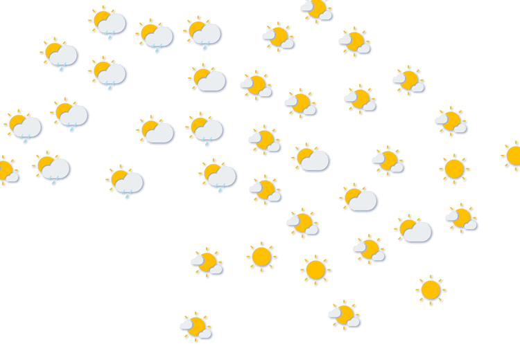 Forecast