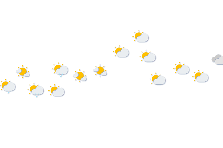 Forecast
