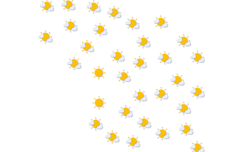 Forecast