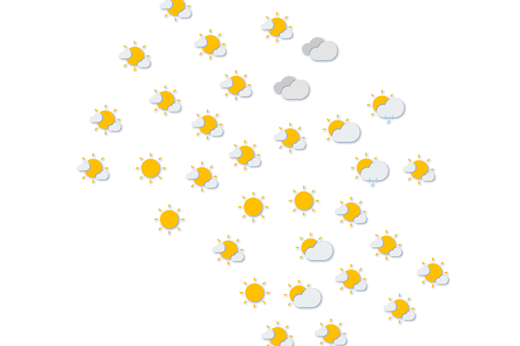 Forecast
