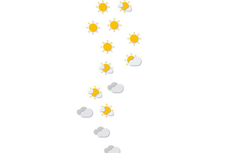 Forecast