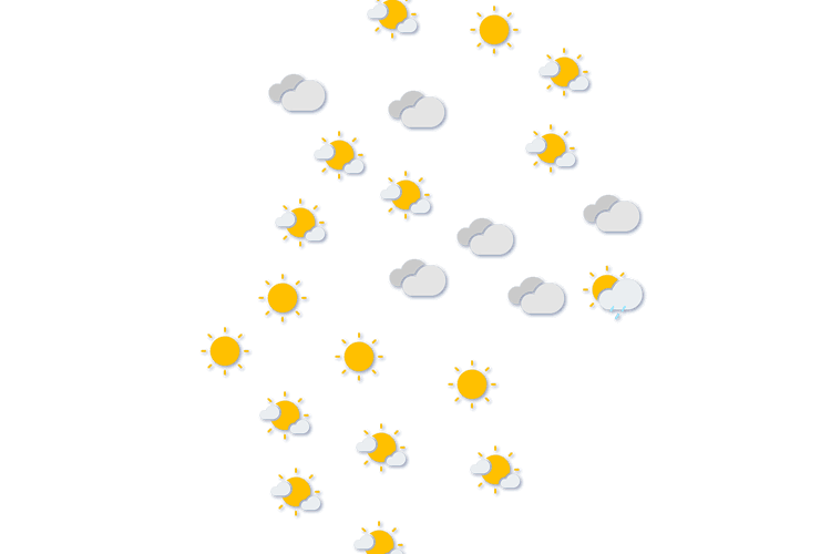 Forecast