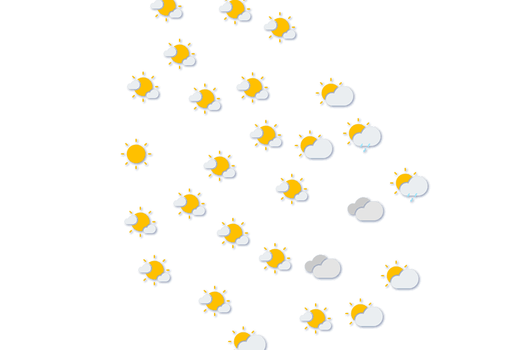 Forecast