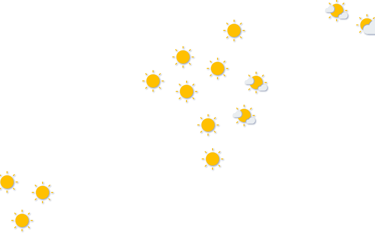 Forecast
