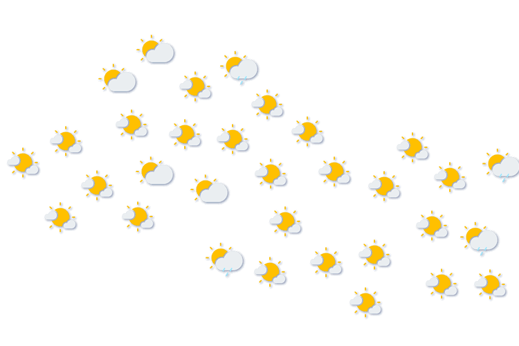 Forecast