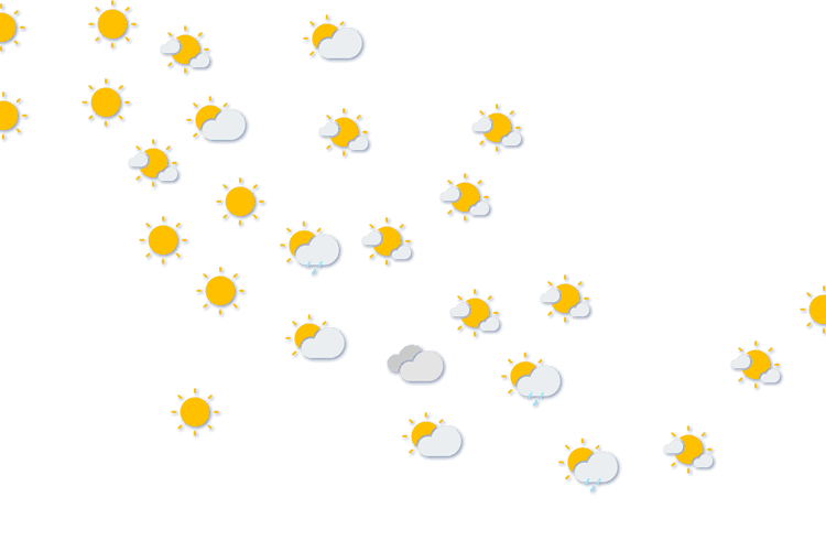 Forecast