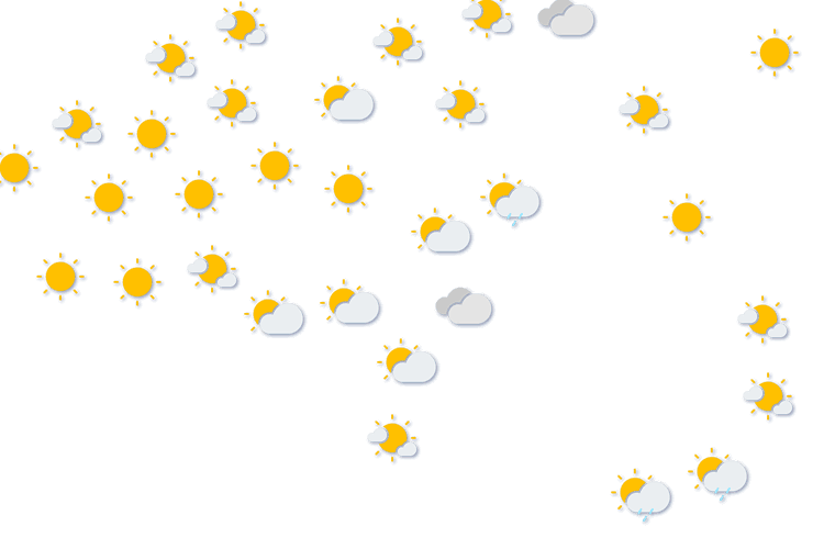 Forecast
