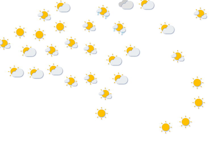Forecast