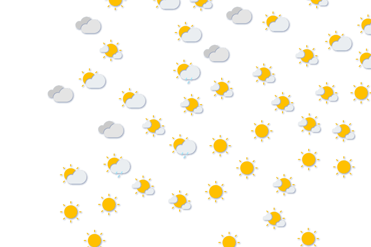 Forecast