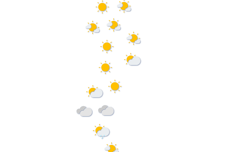 Forecast