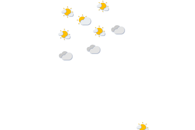 Forecast