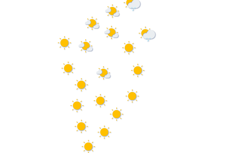 Forecast