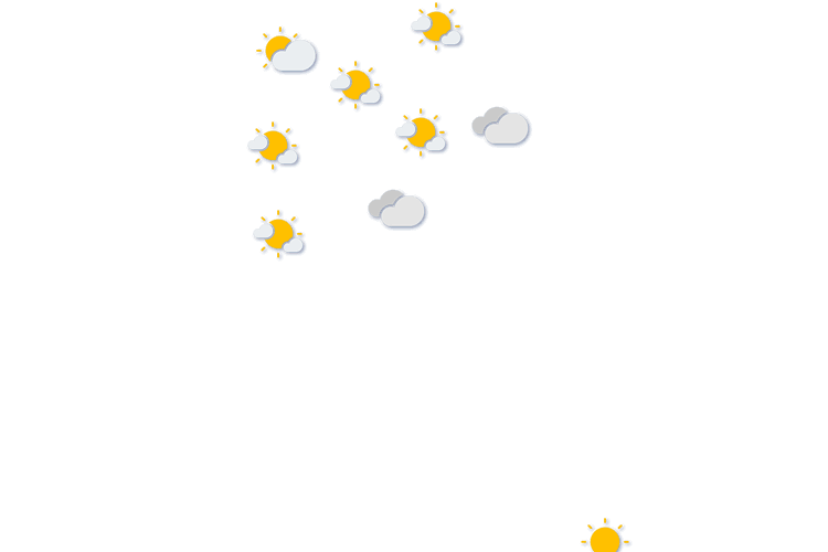 Forecast