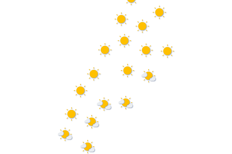 Forecast
