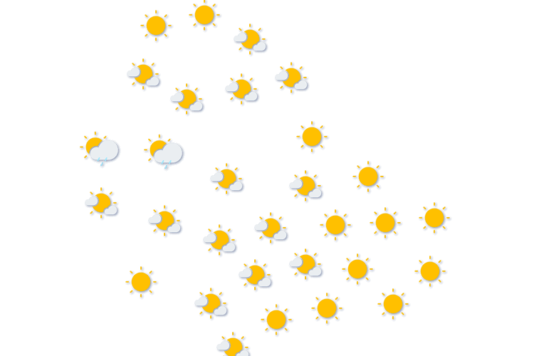 Forecast