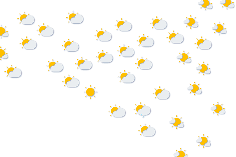 Forecast