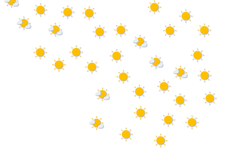 Forecast