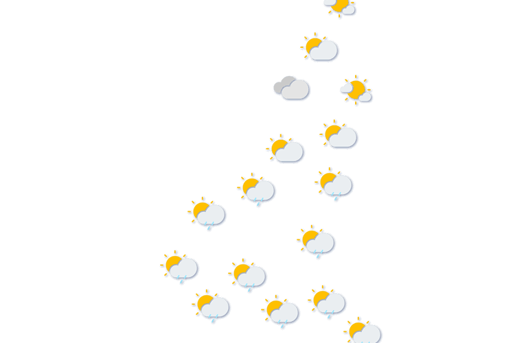 Forecast