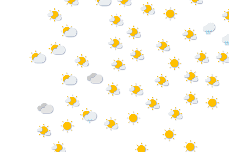Forecast