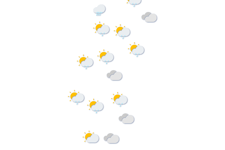 Forecast