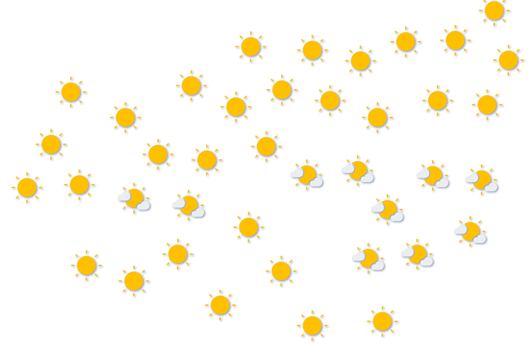 Forecast
