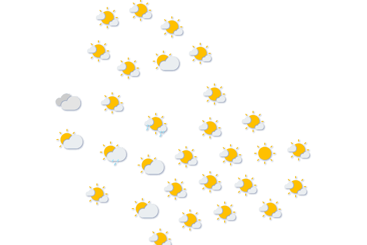 Forecast