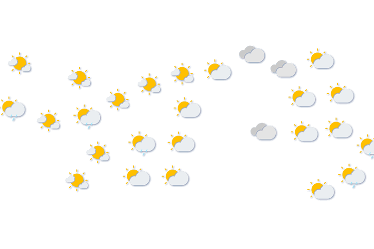 Forecast