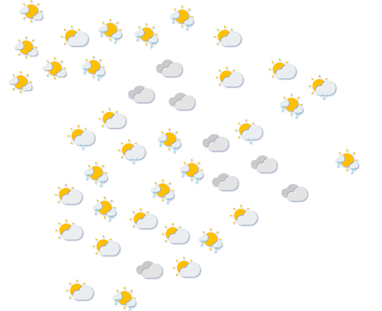 Forecast