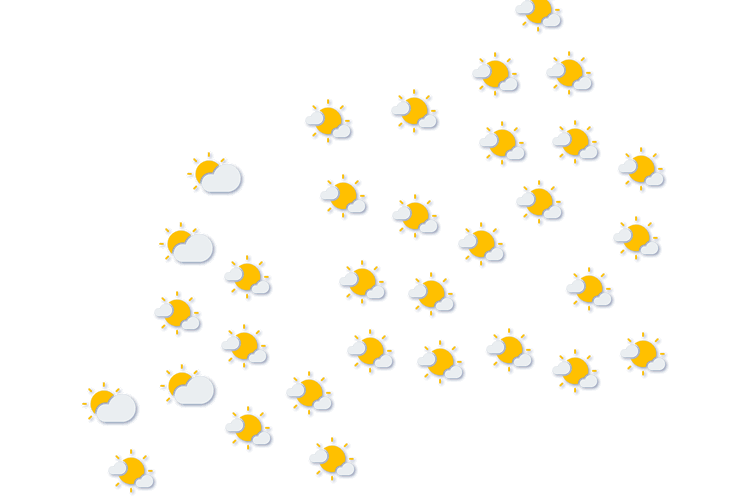 Forecast