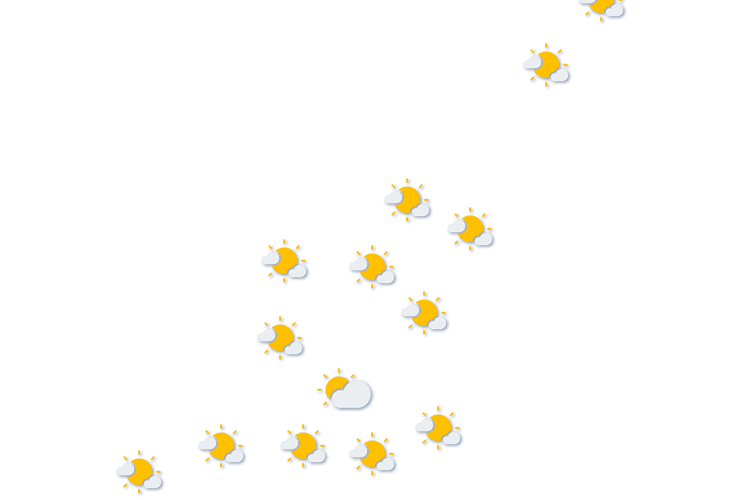 Forecast